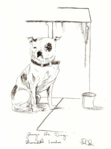 Desenho de George o cão por John Dolan / Fonte: site LondonIST