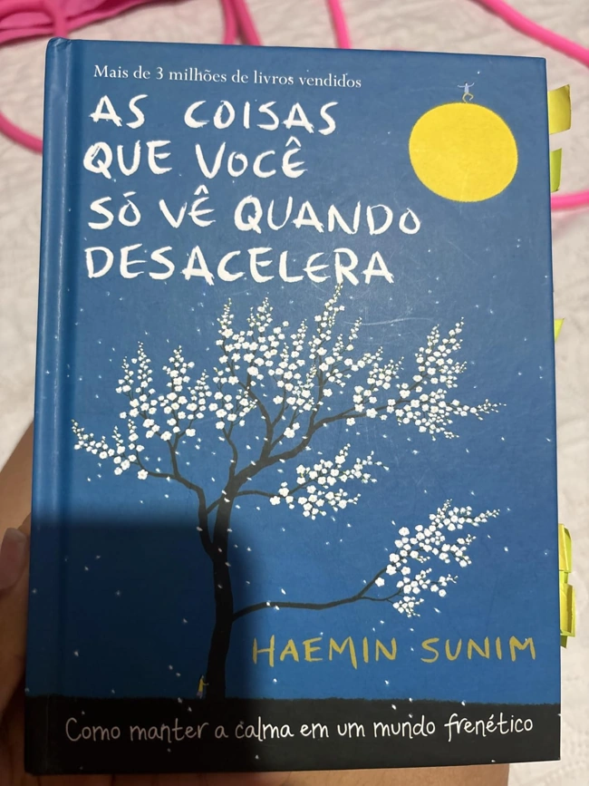 Livro As Coisas que Você Só Vê Quando Desacelera. Falando sobre os melhores livros para ler.